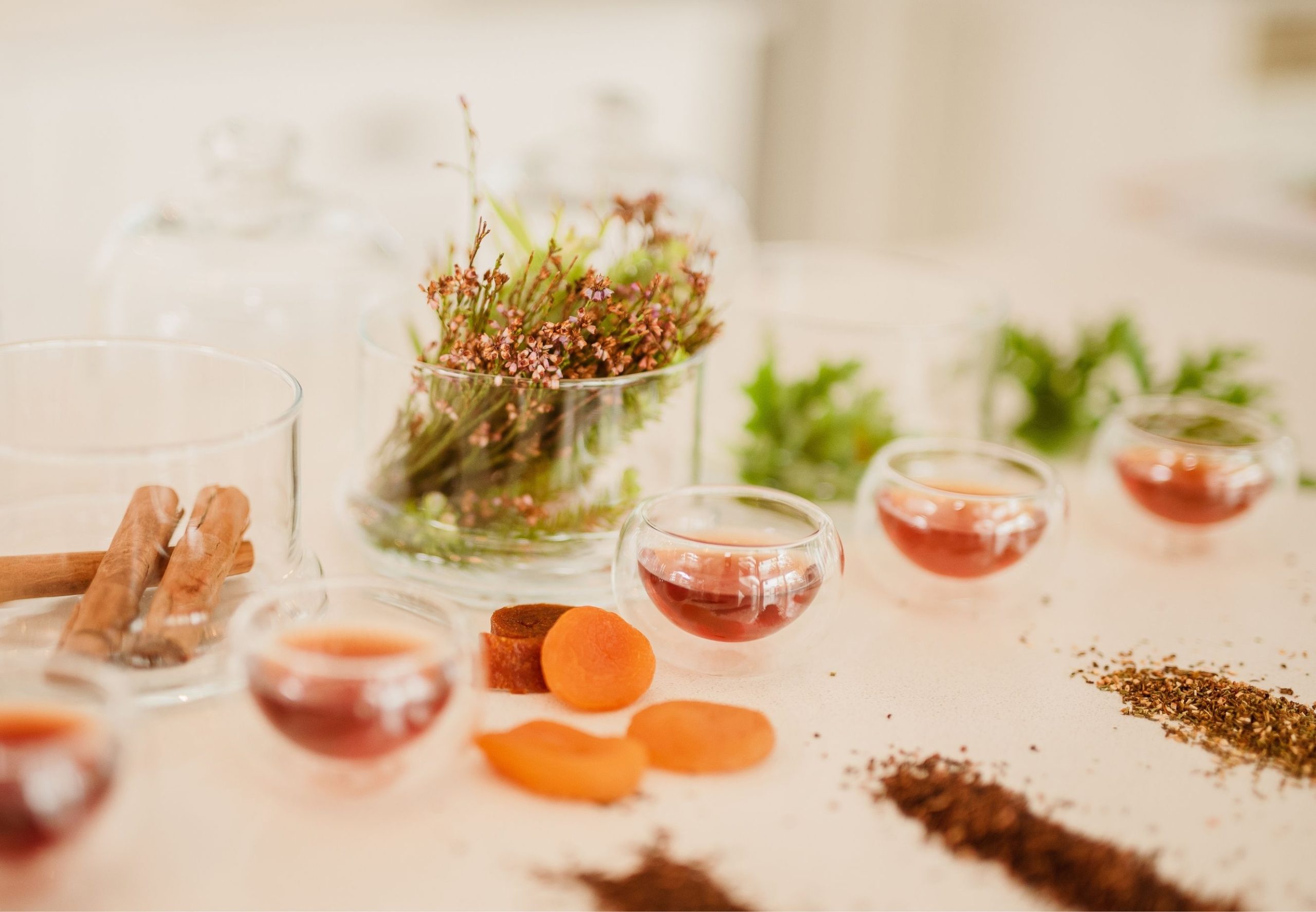 Honeybush Tea Tasting (1)