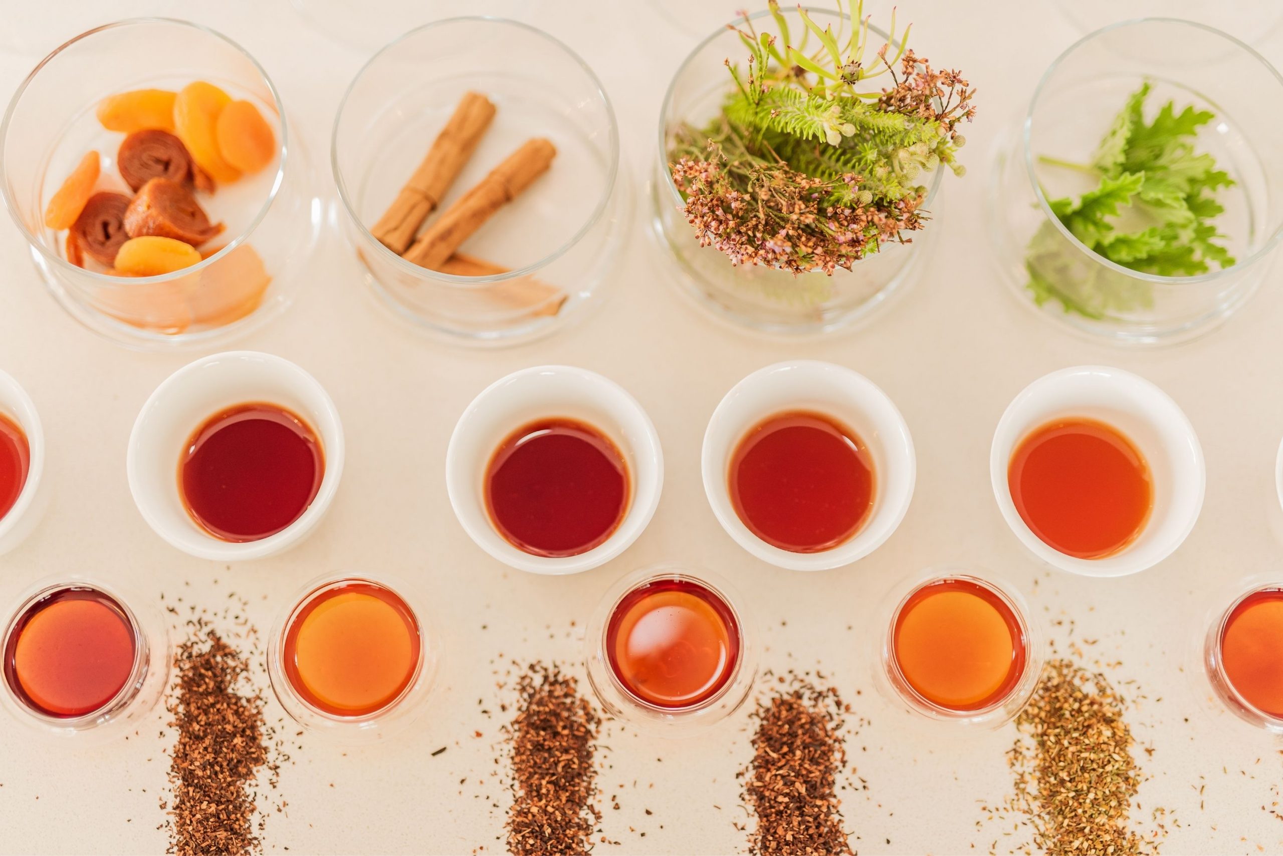 Honeybush Tea Tasting (2)